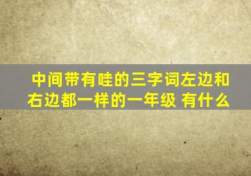 中间带有哇的三字词左边和右边都一样的一年级 有什么